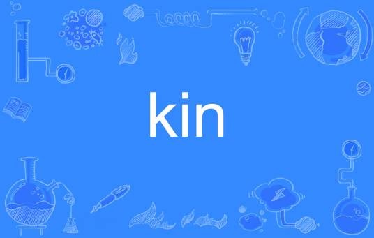 kin(英语单词)