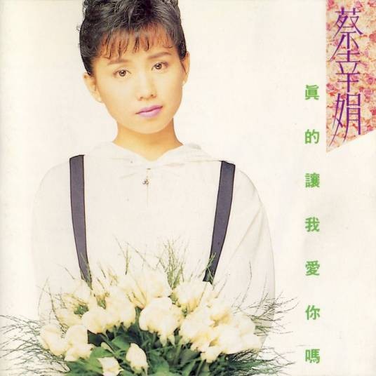 问情（蔡幸娟演唱歌曲）