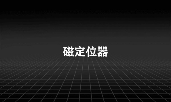磁定位器