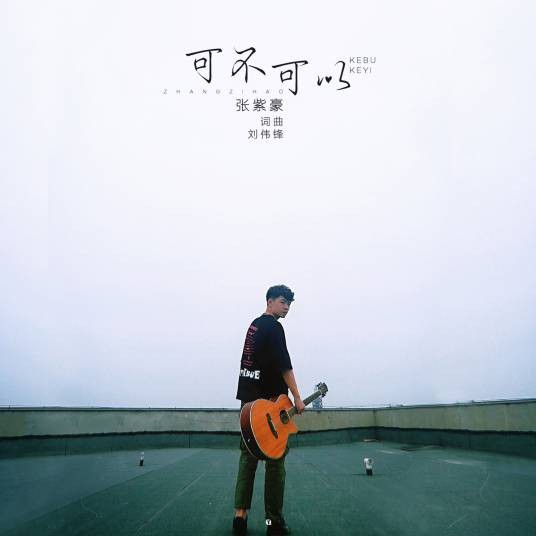 可不可以（张紫豪演唱歌曲）