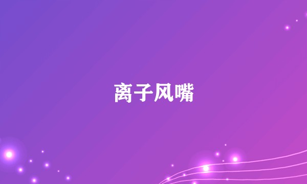 离子风嘴