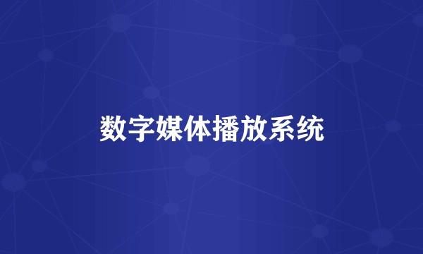 数字媒体播放系统