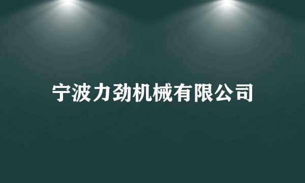 宁波力劲机械有限公司