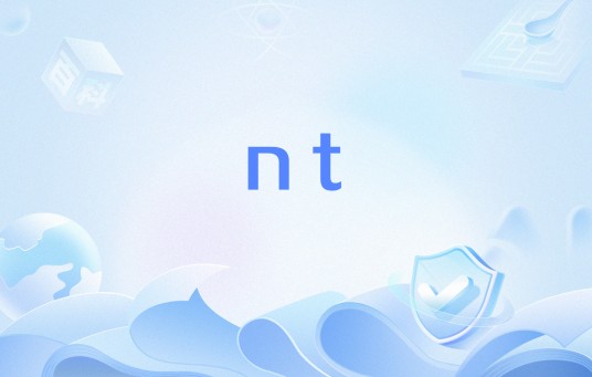 nt（网络流行语）