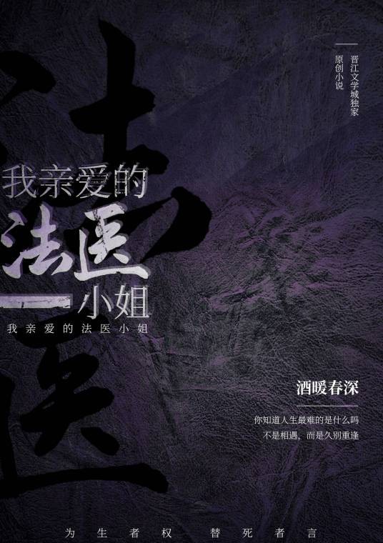 我亲爱的法医小姐(酒暖春深创作的悬疑类网络小说)