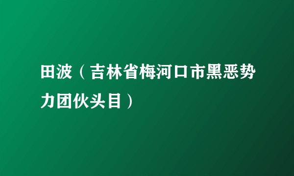 田波（吉林省梅河口市黑恶势力团伙头目）