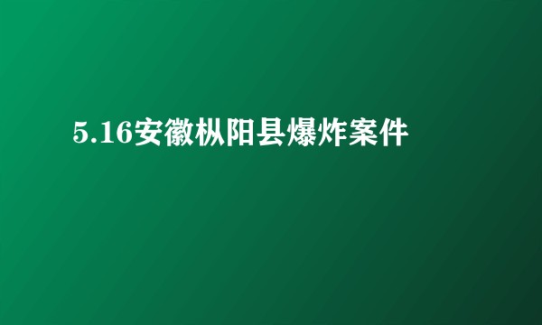 5.16安徽枞阳县爆炸案件