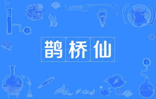 鹊桥仙(词牌名)