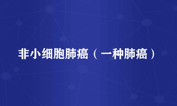 非小细胞肺癌（一种肺癌）