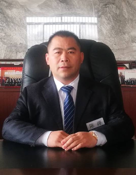 陈涛（山东北城集团董事长）