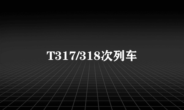 T317/318次列车