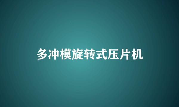 多冲模旋转式压片机