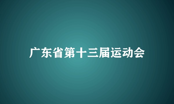 广东省第十三届运动会