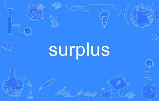 surplus（英语单词）