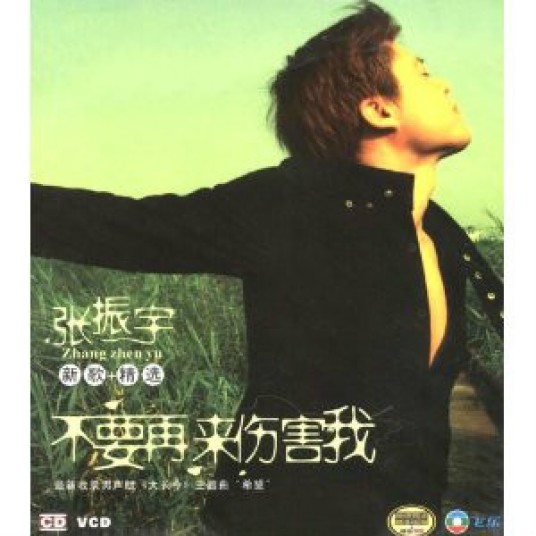 不要再来伤害我(张振宇演唱歌曲)