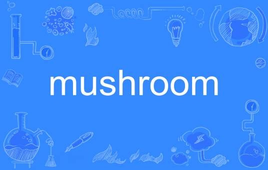 mushroom（英语单词）