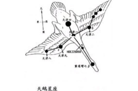 十字星（天鹅座别称）