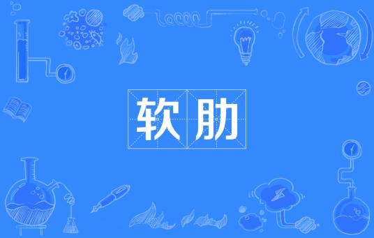 软肋（网络名词）