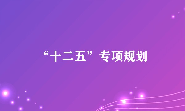 “十二五”专项规划