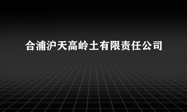 合浦沪天高岭土有限责任公司