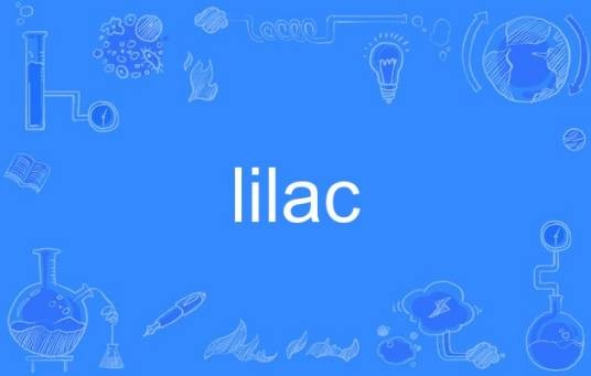 lilac（英语单词）