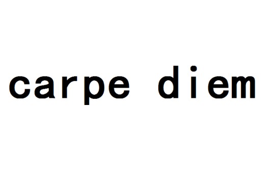 carpe diem（英文词语）