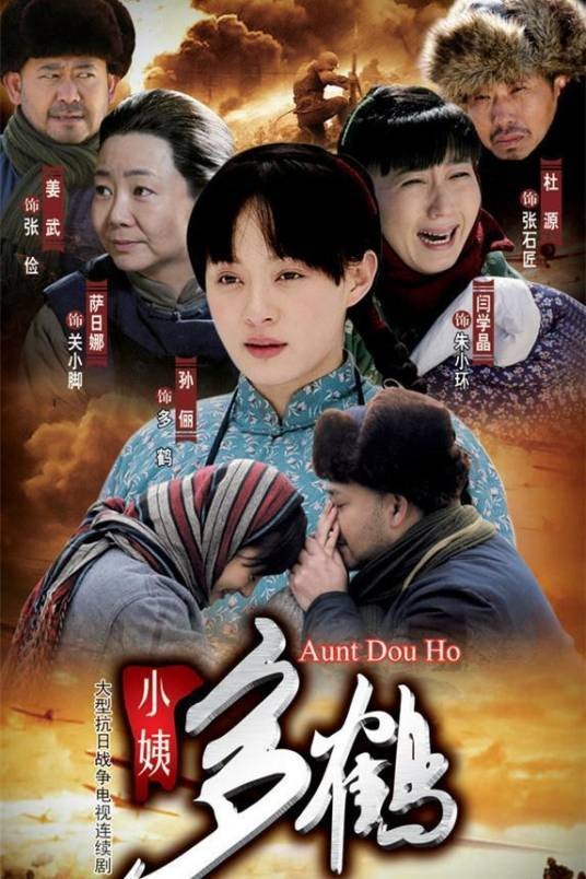 小姨多鹤(2009年孙俪、姜武等主演的年代剧)
