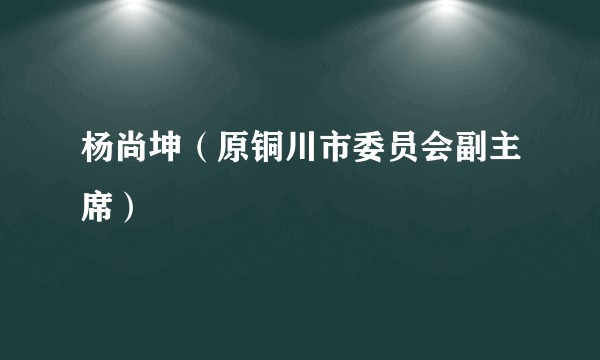 杨尚坤（原铜川市委员会副主席）