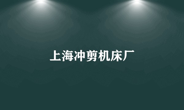 上海冲剪机床厂
