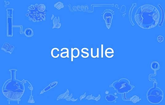 capsule（英语单词）
