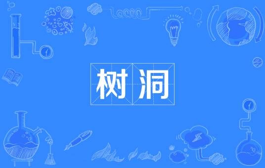 树洞（网络流行词）