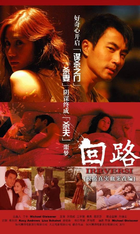 回路(2009年盖霖泽执导的惊悚电影)
