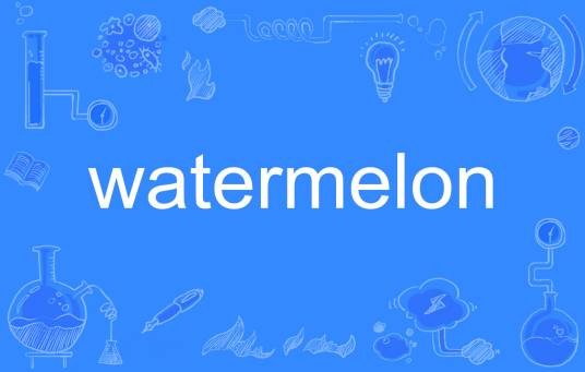 watermelon(英文单词)