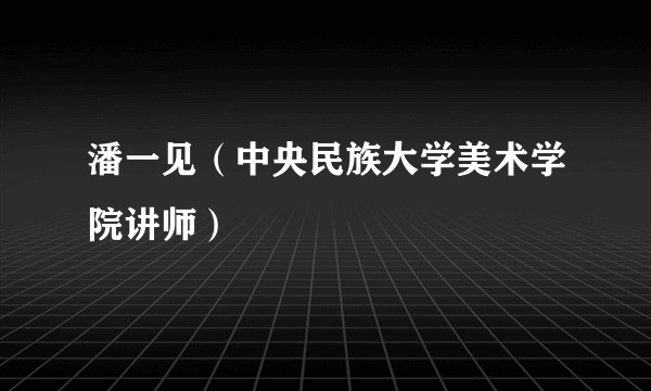 潘一见（中央民族大学美术学院讲师）
