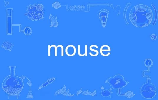 Mouse（英语单词）
