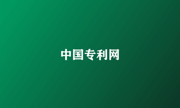 中国专利网