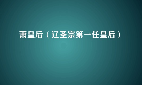 萧皇后（辽圣宗第一任皇后）