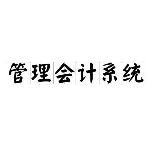 管理会计系统