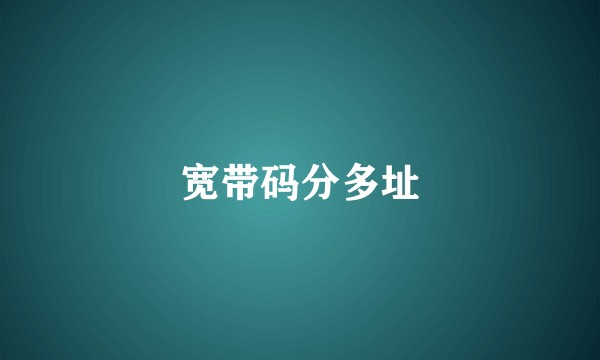 宽带码分多址