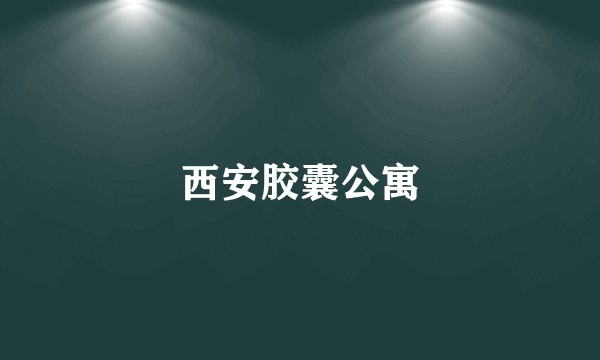 西安胶囊公寓