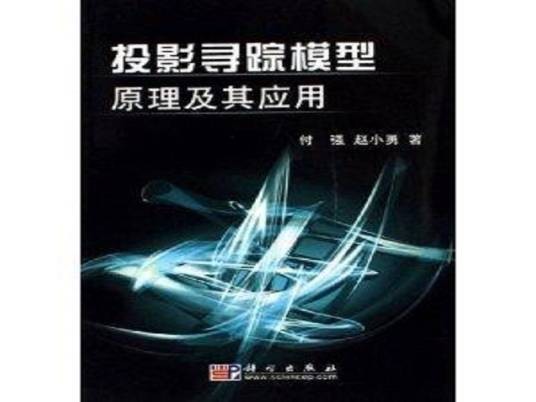 投影寻踪