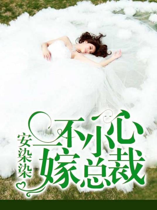 一不小心嫁总裁(安染染创作的网络小说)