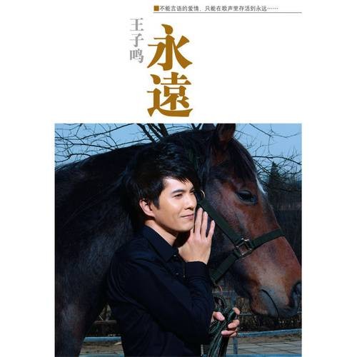 你走以后（王子鸣演唱的歌曲）