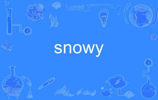SNOWY（英文单词）