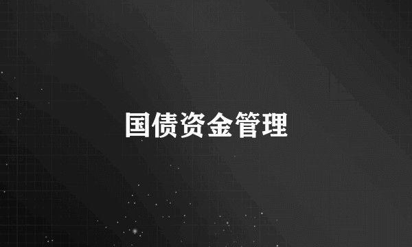 国债资金管理