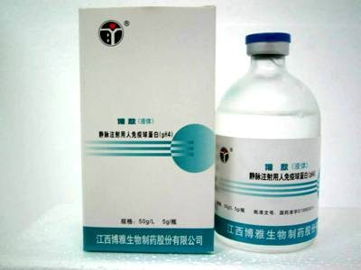球蛋白