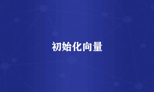 初始化向量