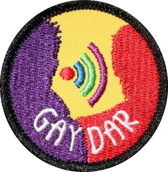 gaydar（英语单词）