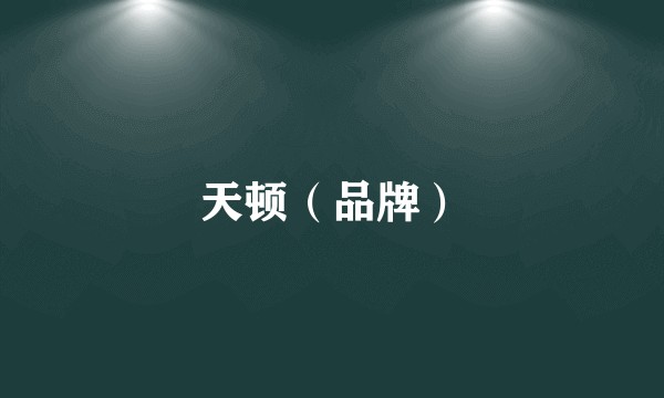 天顿（品牌）