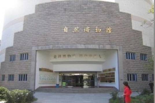 自然博物馆